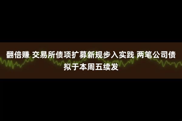 翻倍赚 交易所债项扩募新规步入实践 两笔公司债拟于本周五续发
